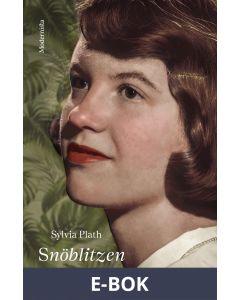 Snöblitzen, E-bok
