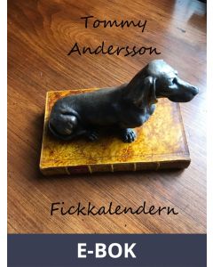 Fickkalendern: Ägare okänd, E-bok