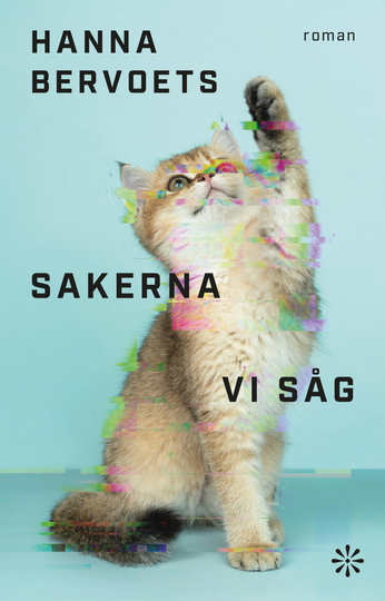 Sakerna Vi Såg