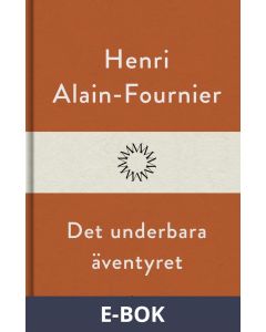 Det underbara äventyret, E-bok