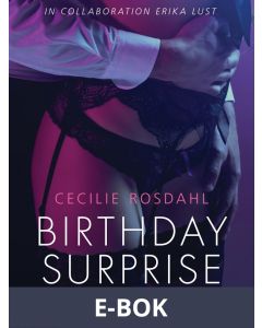 Birthday Surprise, E-bok