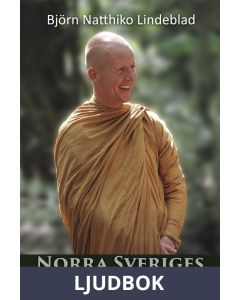 Norra Sverige Meditationer 5, Ljudbok