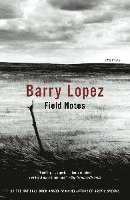 Field Notes: The Grace Note of the Canyon Wren