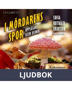 I mördarens spor, Ljudbok