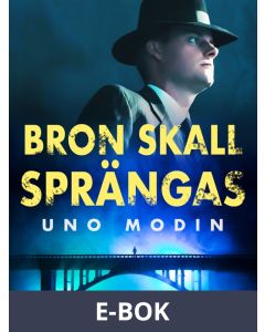 Bron skall sprängas, E-bok
