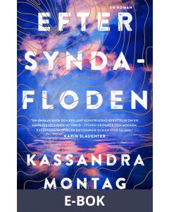 Efter syndafloden, E-bok