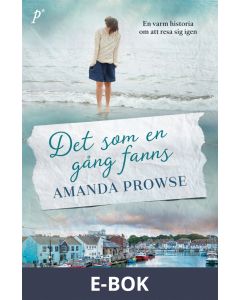 Det som en gång fanns, E-bok