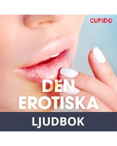 Den erotiska kyssen - erotiska noveller, Ljudbok