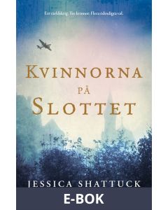 Kvinnorna på slottet, E-bok