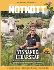 Tidningen Nötkött 6 nummer