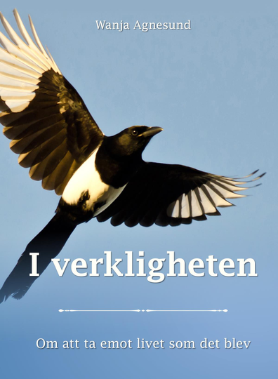 I Verkligheten - Om Att Ta Emot Livet Som Det Blev