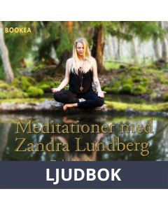 Närvaro, Ljudbok