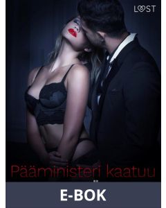 Pääministeri kaatuu - eroottinen novelli, E-bok