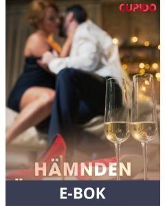 Hämnden är bitterljuv, E-bok