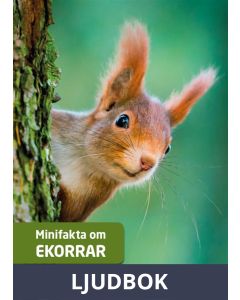 Minifakta om ekorrar, Ljudbok