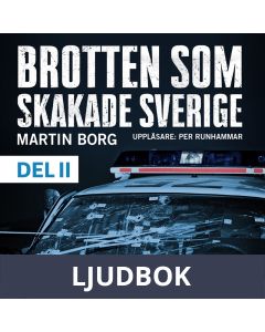 Brotten som skakade Sverige, del 2, Ljudbok