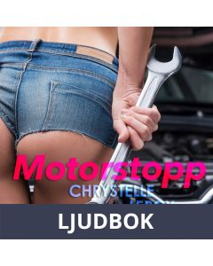 Motorstopp - erotisk novell, Ljudbok