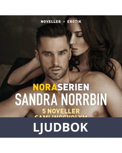 Noraserien 5 noveller samlingsvolym, Ljudbok
