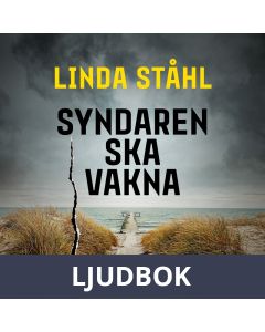 Syndaren ska vakna, Ljudbok