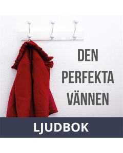 Den perfekta vännen, Ljudbok