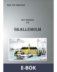 Det händer på Skalleholm, E-bok