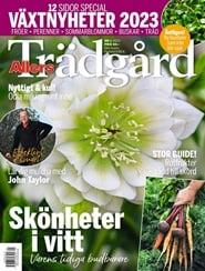Tidningen Allers Trädgård 5 nummer