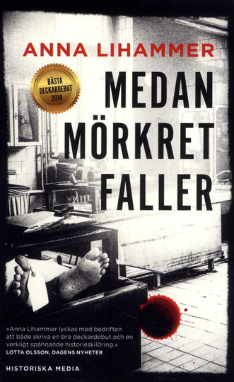 Medan Mörkret Faller