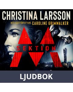 Sektion M - Lika barn leka bäst, Ljudbok