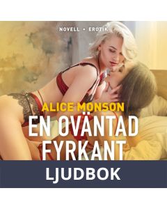 En oväntad fyrkant, Ljudbok