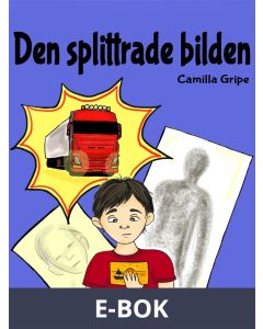 Den splittrade bilden, E-bok