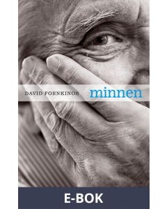 Minnen, E-bok