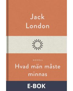 Hvad män måste minnas, E-bok