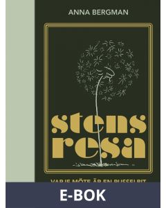 Stens resa, E-bok