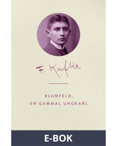 Blumfeld, en gammal ungkarl, E-bok
