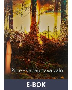 Pirre - vapauttava valo: ... jatkuuko tarina?, E-bok