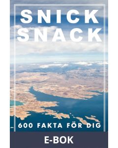 SNICK SNACK (Epub2), E-bok