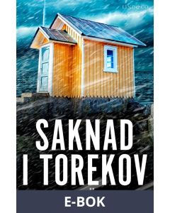 Saknad i Torekov, E-bok