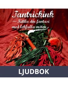 Tantrickink - Kittla din fantasi med lekfulla möten, Ljudbok