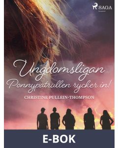 Ungdomsligan: Ponnypatrullen rycker in!, E-bok
