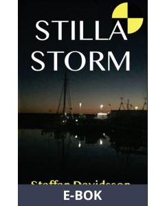 Stilla storm, E-bok