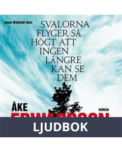 Svalorna flyger så högt att ingen längre kan se dem, Ljudbok