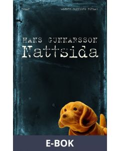 Nattsida : Roman, E-bok