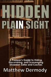 Hidden In Plain Sight