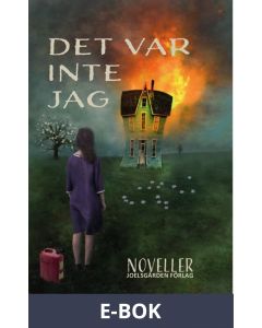 Det var inte jag!, E-bok