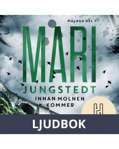 Innan molnen kommer (lättläst), Ljudbok