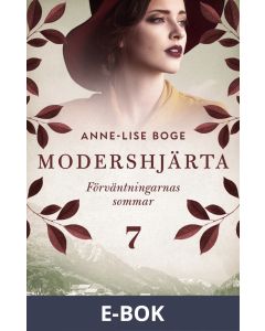 Förväntningarnas sommar, E-bok