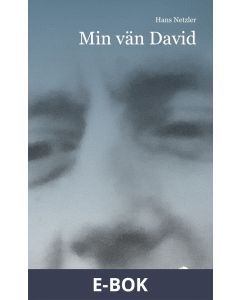 Min vän David, E-bok