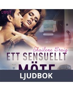 Ett sensuellt möte - erotisk novell, Ljudbok