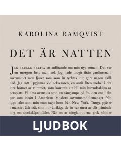 Det är natten : Författaren och den som skriver, Ljudbok