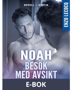 Besök med avsikt, E-bok